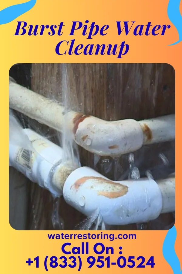 Burst Pipe Water Cleanup in Vicksburg, MI