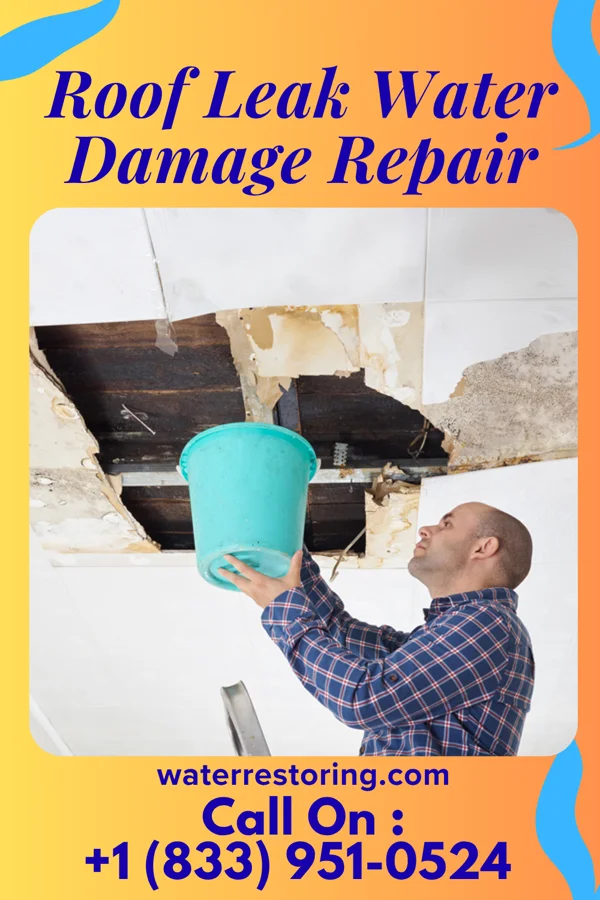 Roof Leak Water Damage Repair in Vicksburg, MI